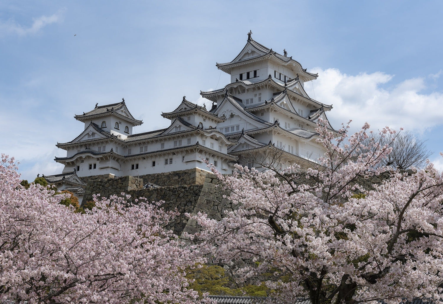 japan castle tokyo e commerce market